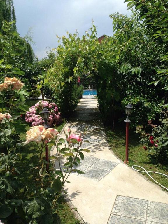 Villa Amsterdam Ohrid Luaran gambar