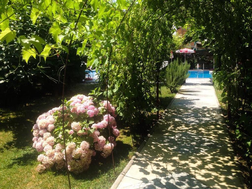Villa Amsterdam Ohrid Luaran gambar